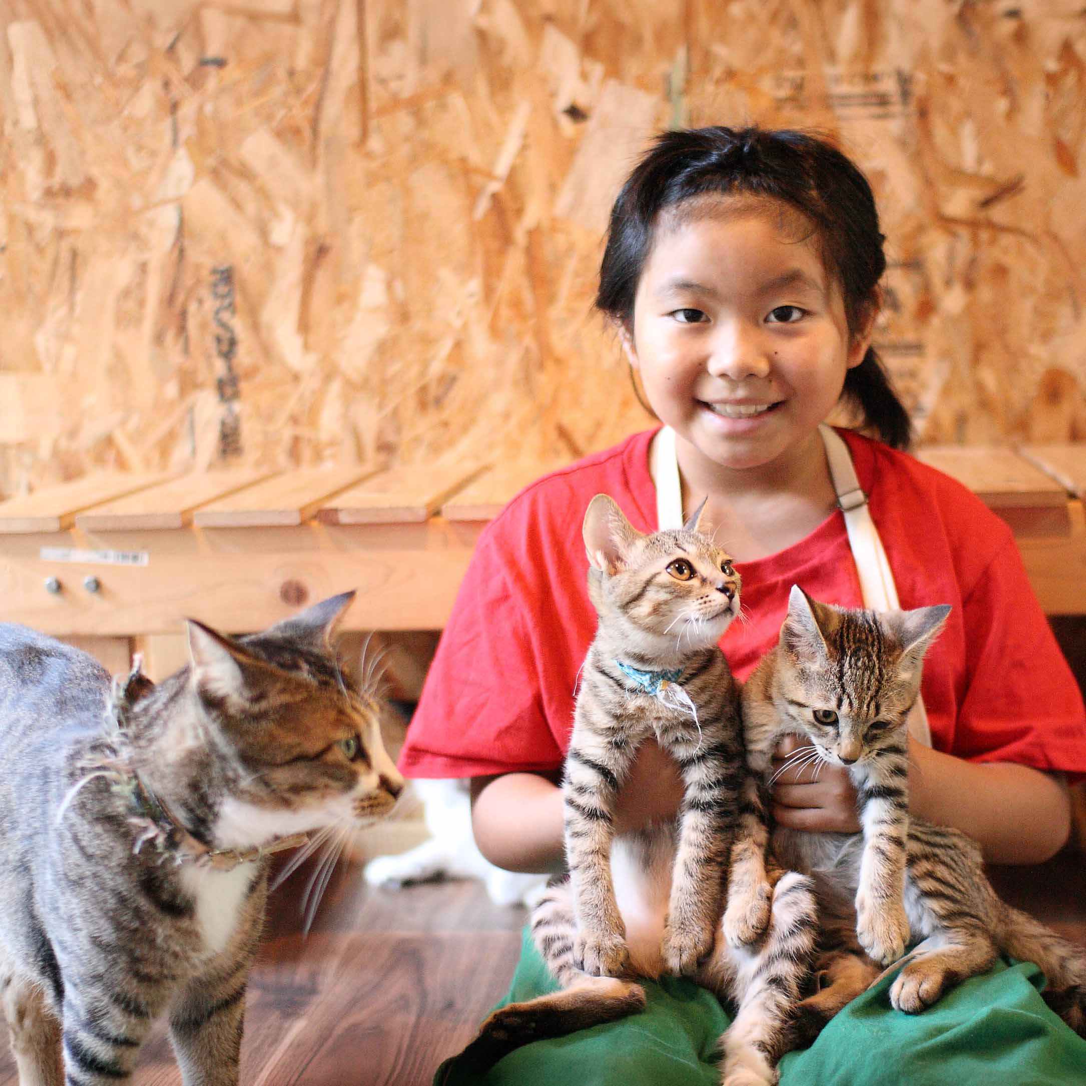 猫庭の子供スタッフと保護された子猫たち・山口の猫庭シェルター
